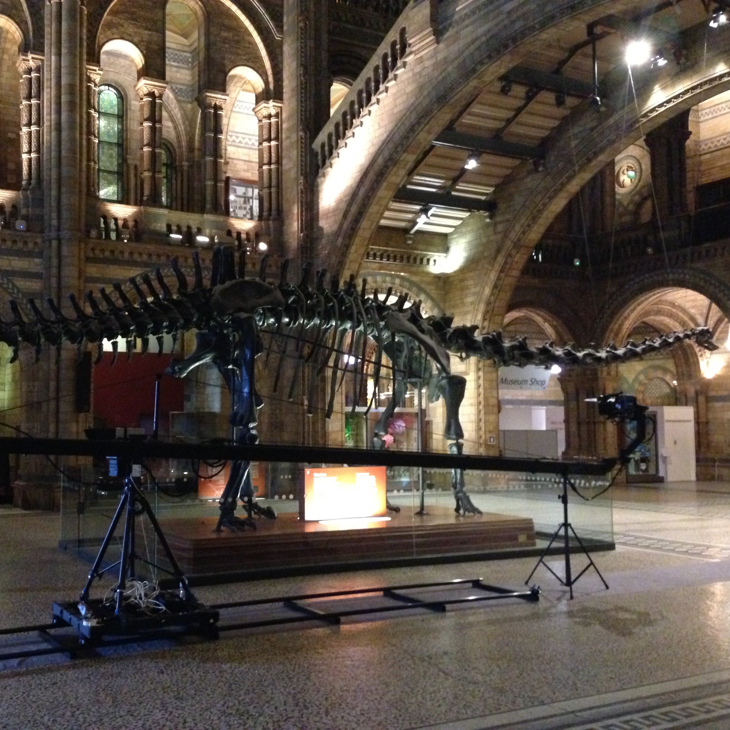 Jimmy Jib on track in Hintze Hall at the Natural History Museum, beneath the dinosaur skeleton